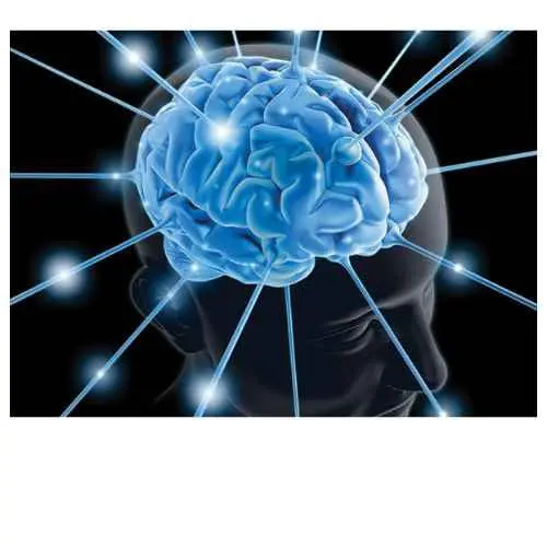 Fast Brain Booster brain health